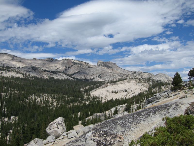 2008-08-05 Hoff (04) Tuolumne